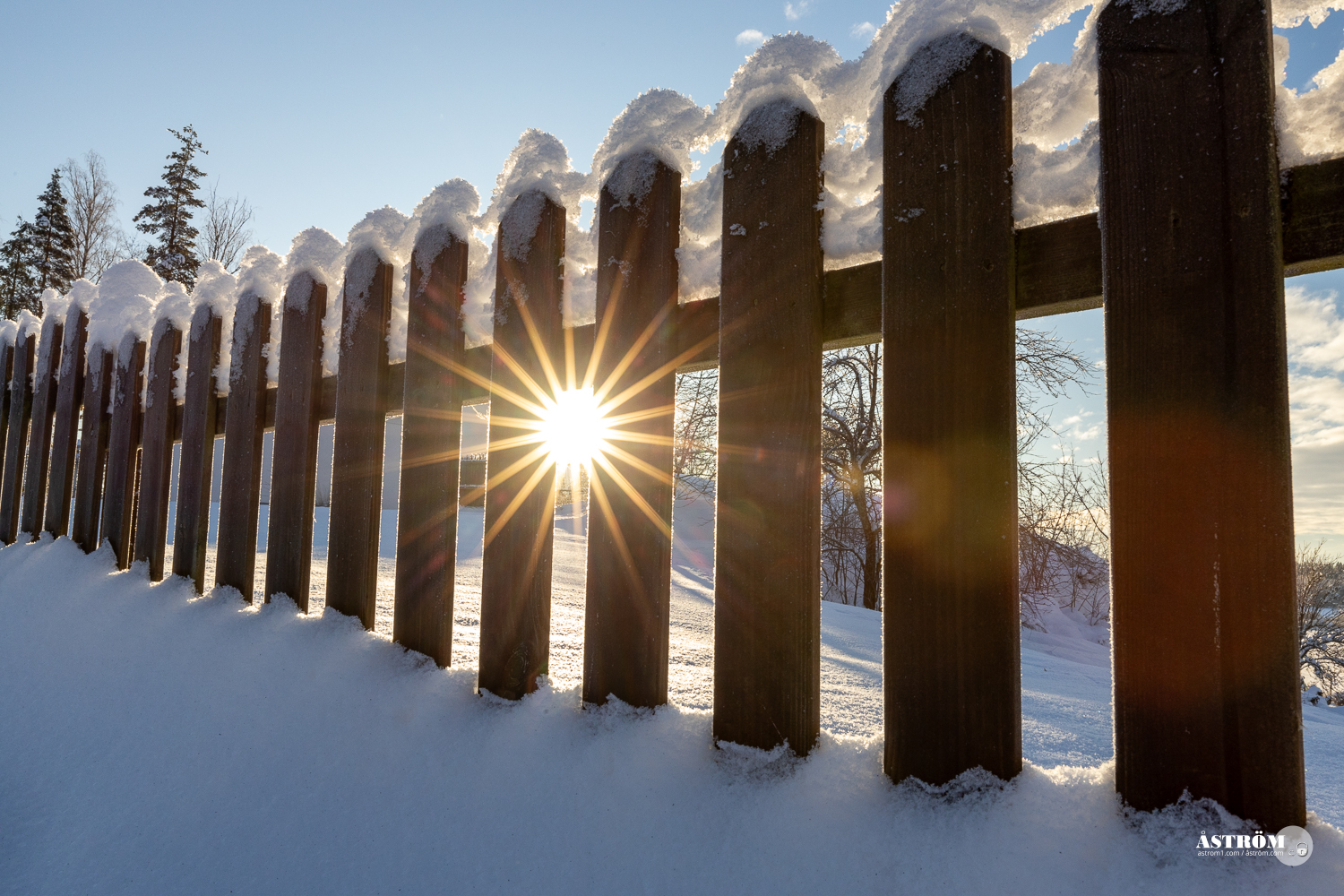 Länk till sida med bilder från Frövi 4-7 januari 2024.